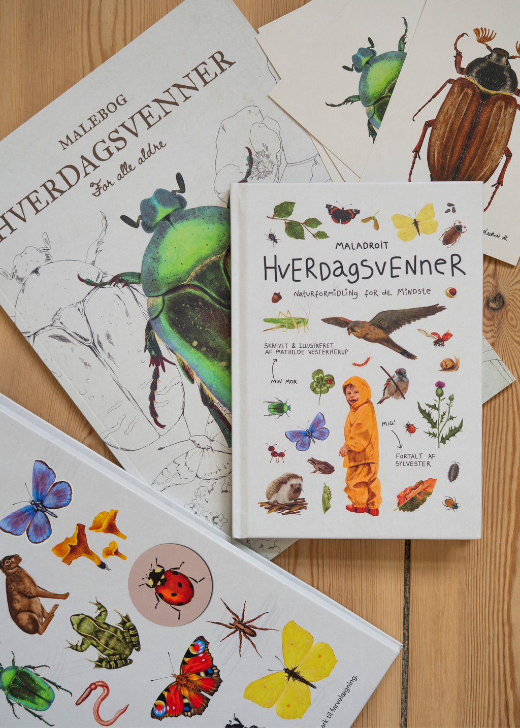 Hverdagsvennerpakken