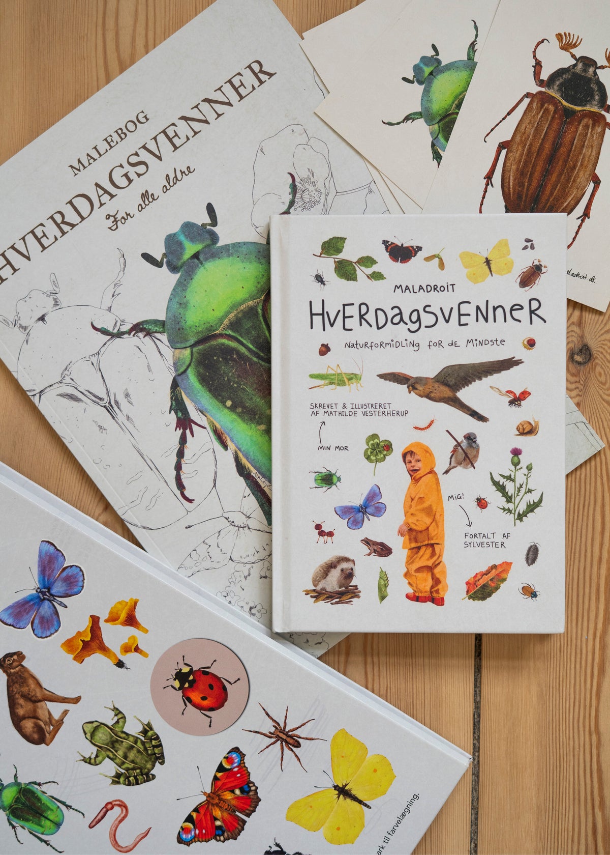 Hverdagsvennerpakken