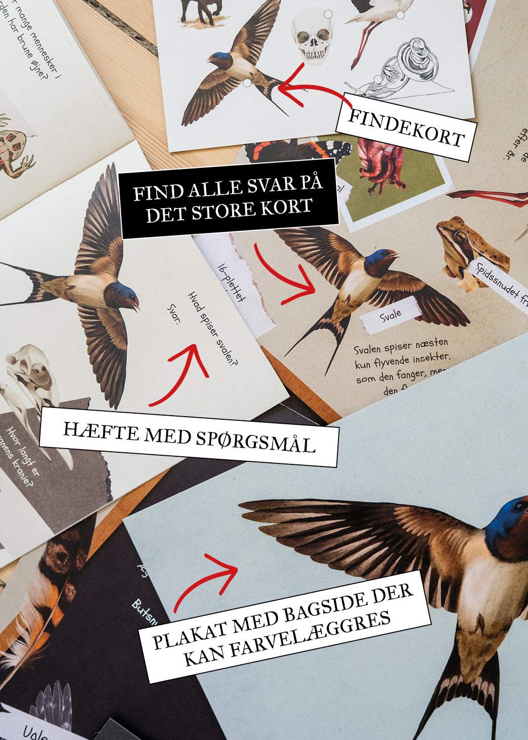 Missionsmappe: Fortroligt Feltarbejde