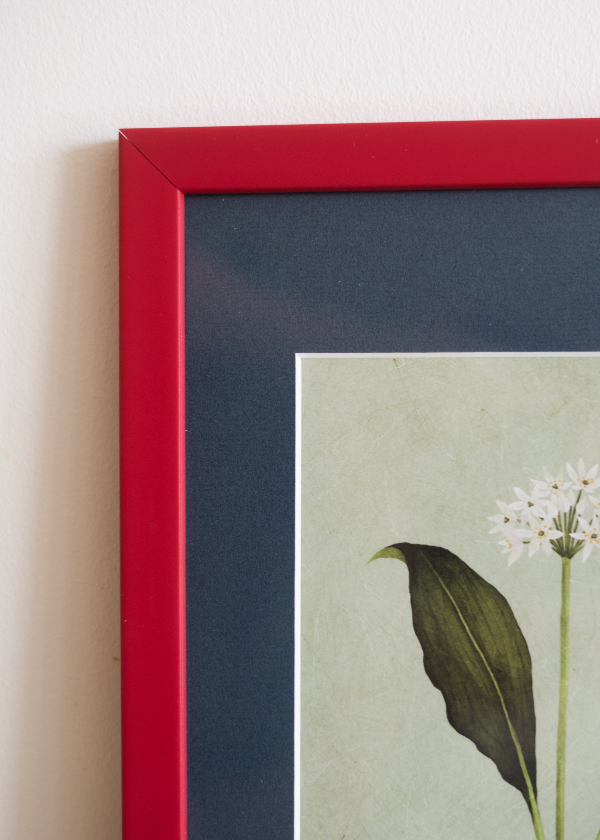 Ramsløg — Indrammet