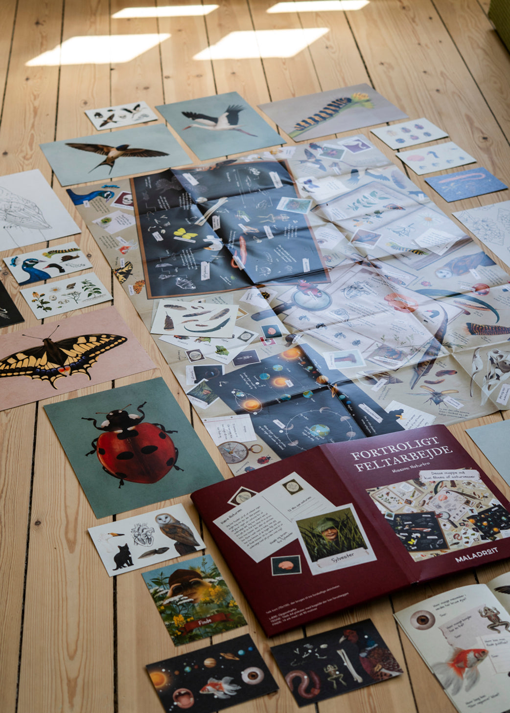 Missionsmappe: Fortroligt Feltarbejde