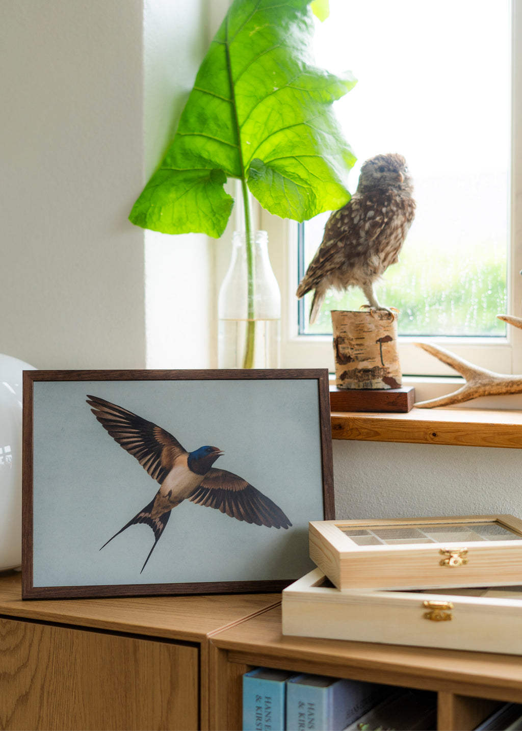 Plakater/Tegneark 🌱 Pakke D