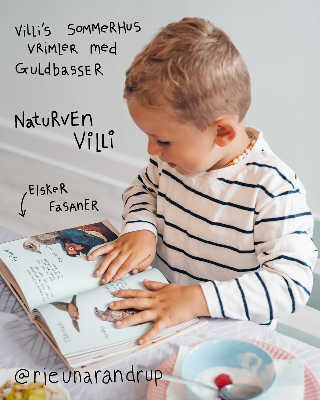 Hverdagsvennerpakken