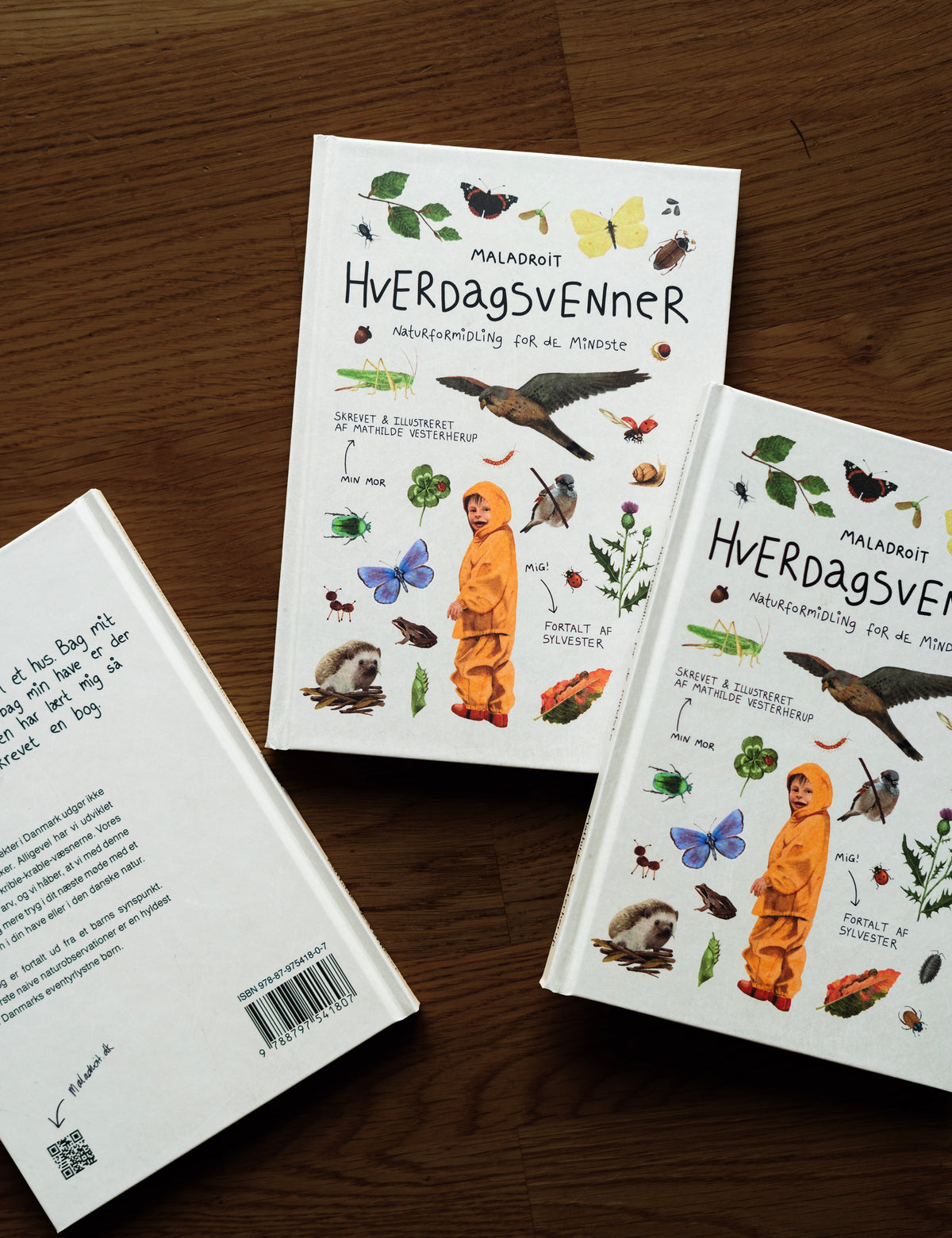 Hverdagsvennerpakken